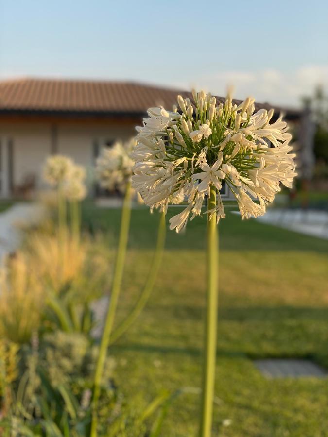 Agriturismo Pepe Rosa Rivoli Veronese Exterior foto